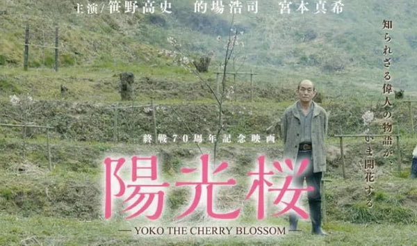 2015年11月1日 映画『陽光桜』